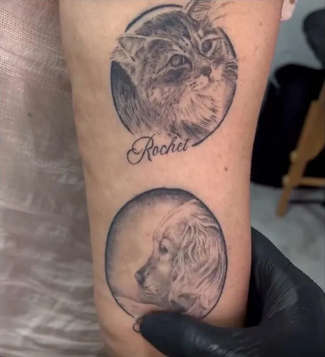 Retratos realistas de un gato y un perro dentro de dos círculos, con el nombre del gato