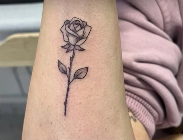 Rosa con tallo en línea y sombra sobre el antebrazo